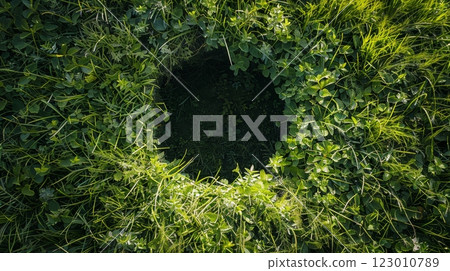 The top down, close up view of a circle cut of the lawn, 123010789