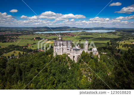 Neuschwanstein Castle Bavarian Alps Germany 123010820