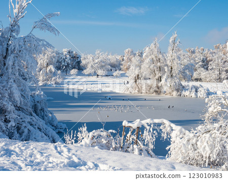 Zurich, Switzerland - December 12th 2023: Irchelpark in winter conditions with frozen lake and deep snow 123010983