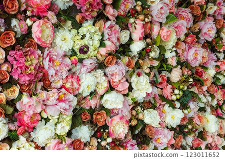 Closeup image of beautiful flowers wall background with amazing red and white roses. Closeup image of beautiful flowers wall background with amazing red and white roses. 123011652