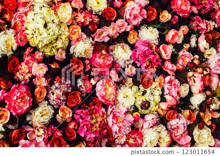 Closeup image of beautiful flowers wall background with amazing red and white roses. 123011654