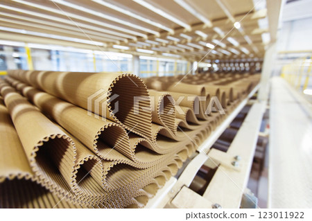 Closeup image of pleat cardboard row at factory background. 123011922