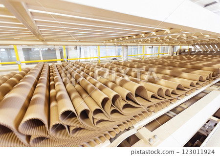 Closeup image of pleat cardboard row at factory background. Closeup image of pleat cardboard row at factory background. 123011924