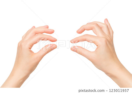 Female hands holding invisible object isolated at white background. Female hands holding invisible object isolated at white background. 123011937