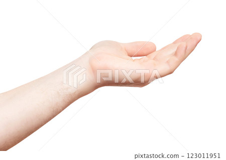Closeup empty male hand making holding gesture isolated at white background. Closeup empty male hand making holding gesture isolated at white background. 123011951