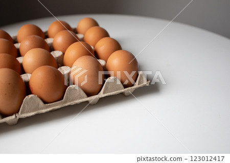 Chicken eggs in a paper tray side view with white background Chicken eggs in a paper tray side view with white background 123012417