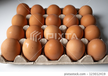 Twenty chicken eggs in a paper tray top view 123012419