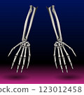 Two skeletal forearms with detailed hands are depicted against a gradient background transitioning from dark blue to magenta. Two skeletal forearms with detailed hands are depicted against a gradient background transitioning from dark blue to magenta. 123012458
