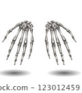 Two skeletal hands are displayed side by side against a plain white background, each exhibiting detailed bone structure. Two skeletal hands are displayed side by side against a plain white background, each exhibiting detailed bone structure. 123012459