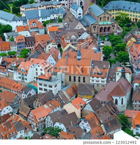 Beautiful panorama of the old town of Mannheim, Germany. 123012491