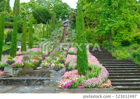 stairs of flowers on the isle mainau 123012497