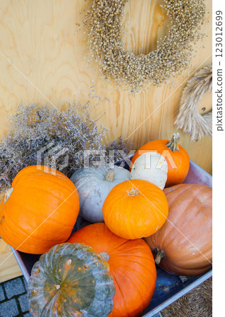 Farmer's pumpkin market autumn photo zone close up Farmer's pumpkin market autumn photo zone close up 123012699
