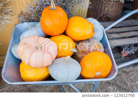 Farmer's pumpkin market autumn photo zone close up Farmer's pumpkin market autumn photo zone close up 123012700