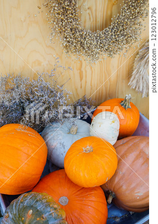 Farmer's pumpkin market autumn photo zone close up 123012796