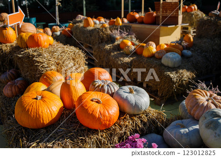 Farmer's pumpkin market autumn photo zone 123012825