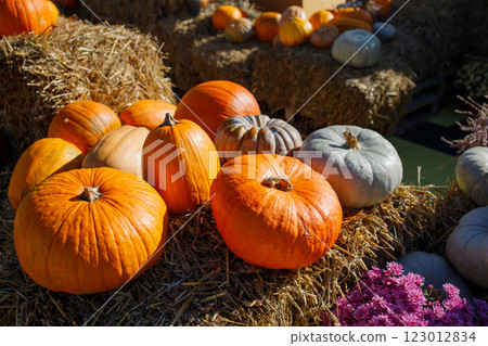 Farmer's pumpkin market autumn photo zone Farmer's pumpkin market autumn photo zone 123012834