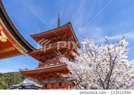 Cherry blossom scenery at Kiyomizu-dera Temple, famous cherry blossom spot in Kyoto, three-story pagoda shining against the blue sky, Kyoto tourist spots in spring Cherry blossom scenery at Kiyomizu-dera Temple, famous cherry blossom spot in Kyoto, three-story pagoda shining against the blue sky, Kyoto tourist spots in spring 123012898
