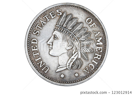 Silver 1851 US dollar coin 123012914