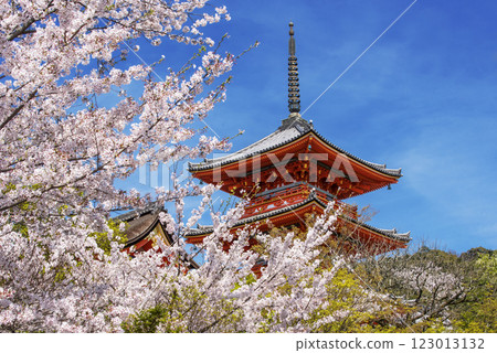 清水寺與櫻花:京都著名的賞櫻勝地;三層寶塔在藍天映襯下格外醒目;京都春季熱門旅遊景點。 清水寺與櫻花:京都著名的賞櫻勝地;三層寶塔在藍天映襯下格外醒目;京都春季熱門旅遊景點。 123013132