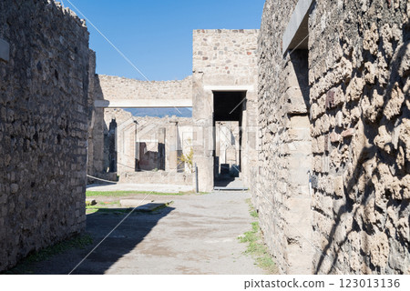 view of the ruins of the ancient city of Pompeii in Naples 123013136