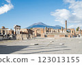 view of the ruins of the ancient historical city of Pompeii in Naples 123013155