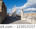 view of the ruins of the ancient historical city of Pompeii in Naples 123013157
