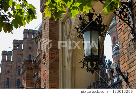 Yuriy Fedkovych University in Chernivtsi, Ukraine close up 123013296