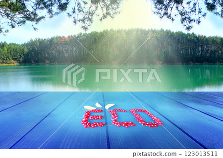 Ecological nutrition that nature gives us. Ecology concept. Word eco from schisandra 123013511