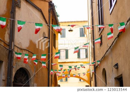 Typical street with houses in Italy. Facade of a yellow building with Italian flags. Italian flag in an old town narrow street of a city in Italy 123013544