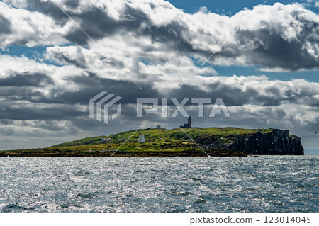 Seabird Nature Reserve Isle Of May In The Firth Of Forth In The Atlantic Ocean Near Anstruther In Scotland 123014045