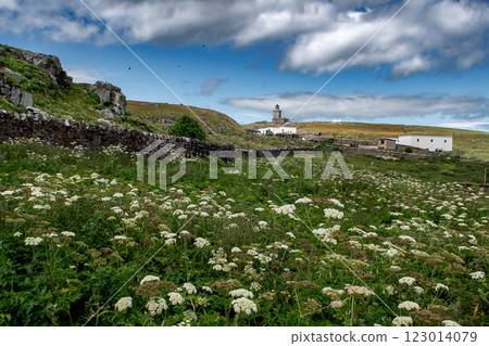 Seabird Nature Reserve Isle Of May In The Firth Of Forth In The Atlantic Ocean Near Anstruther In Scotland 123014079