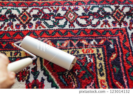 Close-up of a woman's hands cleaning with a sticky carpet cleaner (roller carpet) 123014132