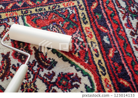 Sticky carpet cleaner, Korokoro carpet, close-up 123014133