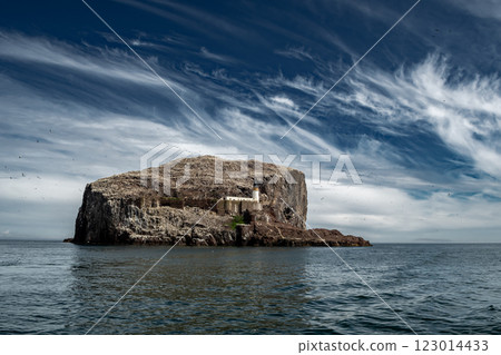 Bass Rock Island With Nesting Northern Gannets (Morus Bassanus) In The Atlantic Ocean Of Firth of Forth At North Berwick Near Edinburgh In Scotland, UK Bass Rock Island With Nesting Northern Gannets (Morus Bassanus) In The Atlantic Ocean Of Firth of Forth At North Berwick Near Edinburgh In Scotland, UK 123014433