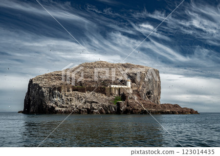 Bass Rock Island With Nesting Northern Gannets (Morus Bassanus) In The Atlantic Ocean Of Firth of Forth At North Berwick Near Edinburgh In Scotland, UK 123014435