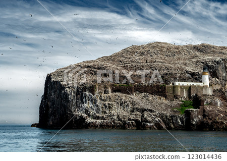 Bass Rock Island With Nesting Northern Gannets (Morus Bassanus) In The Atlantic Ocean Of Firth of Forth At North Berwick Near Edinburgh In Scotland, UK Bass Rock Island With Nesting Northern Gannets (Morus Bassanus) In The Atlantic Ocean Of Firth of Forth At North Berwick Near Edinburgh In Scotland, UK 123014436