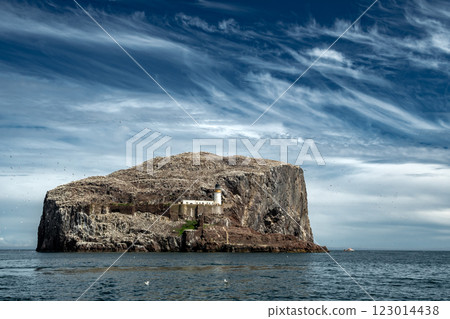 Bass Rock Island With Nesting Northern Gannets (Morus Bassanus) In The Atlantic Ocean Of Firth of Forth At North Berwick Near Edinburgh In Scotland, UK Bass Rock Island With Nesting Northern Gannets (Morus Bassanus) In The Atlantic Ocean Of Firth of Forth At North Berwick Near Edinburgh In Scotland, UK 123014438