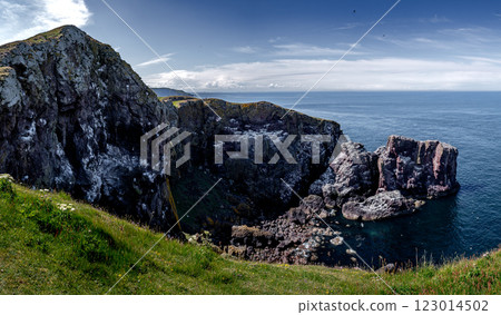 Steep Cliffs At The Atlantic Coast With Seabirds Breeding Location At Nature Reserve On Saint Abbs Head In Scotland, UK Steep Cliffs At The Atlantic Coast With Seabirds Breeding Location At Nature Reserve On Saint Abbs Head In Scotland, UK 123014502