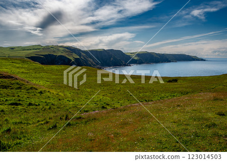 Landscape With Steep Cliffs At The Atantic Coast Of St. Abbs Head In Scotland, UK 123014503