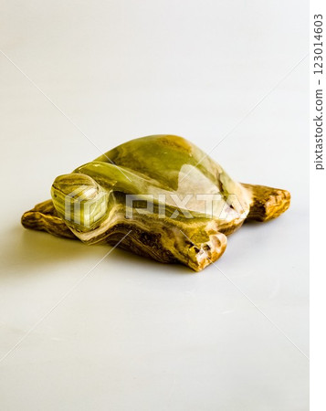 Close-up of a onyx turtle that brings good luck. White background. 123014603