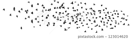 Flying birds silhouette flock. hand drawing. Not AI. Vector illustration Flying birds silhouette flock. hand drawing. Not AI. Vector illustration 123014620