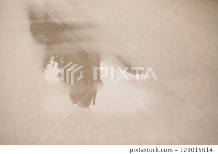 Reflections of nature on a calm water surface during early morning hours, showcasing serene landscapes and the beauty of tranquility in the wilderness Reflections of nature on a calm water surface during early morning hours, showcasing serene landscapes and the beauty of tranquility in the wilderness 123015014