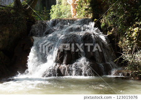 Tranquil Cascades: Verdant Oasis, Monasterio de Piedra 123015076