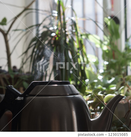 An Elegant Teapot Gracefully Positioned Amidst Lush, Beautiful Greenery and Foliage An Elegant Teapot Gracefully Positioned Amidst Lush, Beautiful Greenery and Foliage 123015085