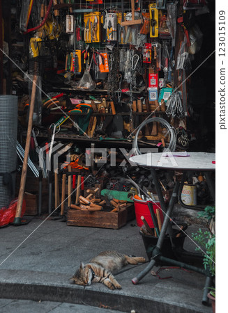 A quiet and serene corner of a cozy tool shop featuring a relaxed and gentle dog lying down 123015109