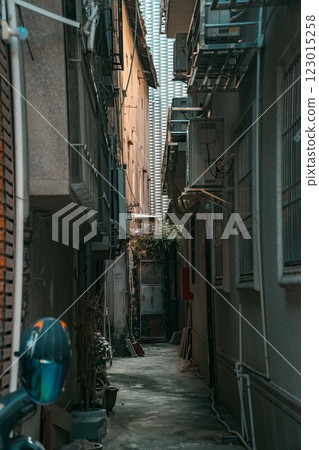A narrow urban alleyway featuring ambient light and lush greenery throughout the space A narrow urban alleyway featuring ambient light and lush greenery throughout the space 123015258