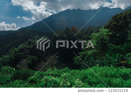 A stunning mountain landscape with vibrant greenery and dramatic skies inspiring exploration 123015319