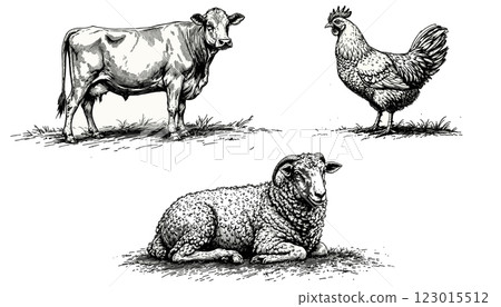 Hand-drawn vintage vector illustration of cow, sheep, and rooster in line work Hand-drawn vintage vector illustration of cow, sheep, and rooster in line work 123015512