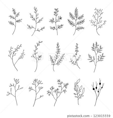 A delicate collection of hand-drawn botanical elements, including branches, leaves, and floral sketches. Perfect for branding, invitations, and decorative compositions. 123015559