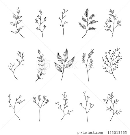 A collection of fine line botanical sketches featuring different plant species. Perfect for minimalist designs, patterns, and nature-inspired projects. A collection of fine line botanical sketches featuring different plant species. Perfect for minimalist designs, patterns, and nature-inspired projects. 123015565